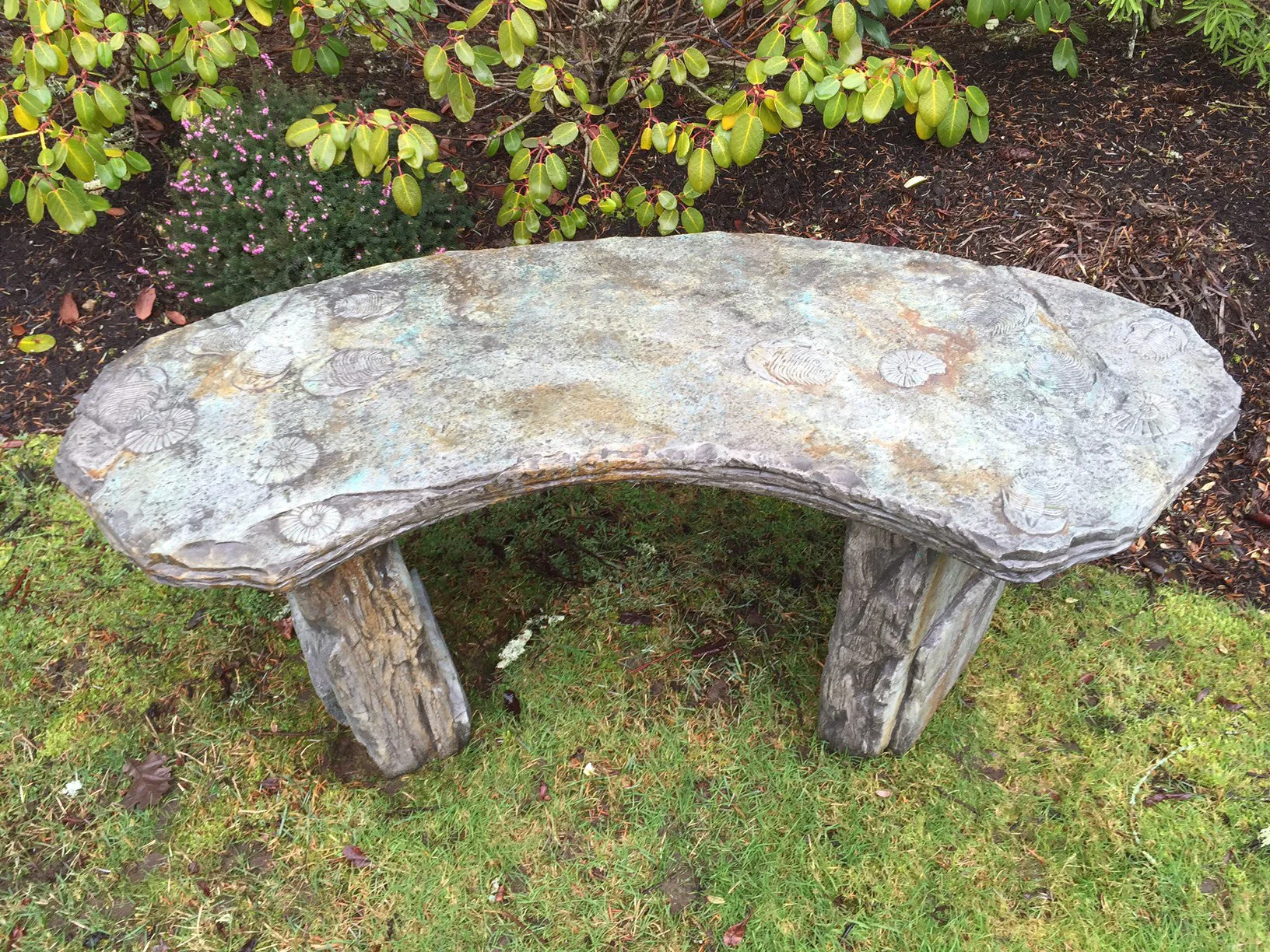 Fossil Bench - Curved
