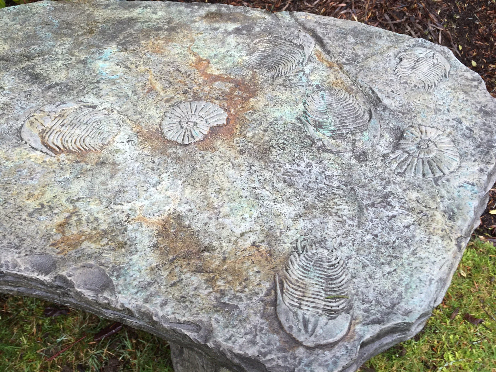 Fossil Bench - Curved - Image 2