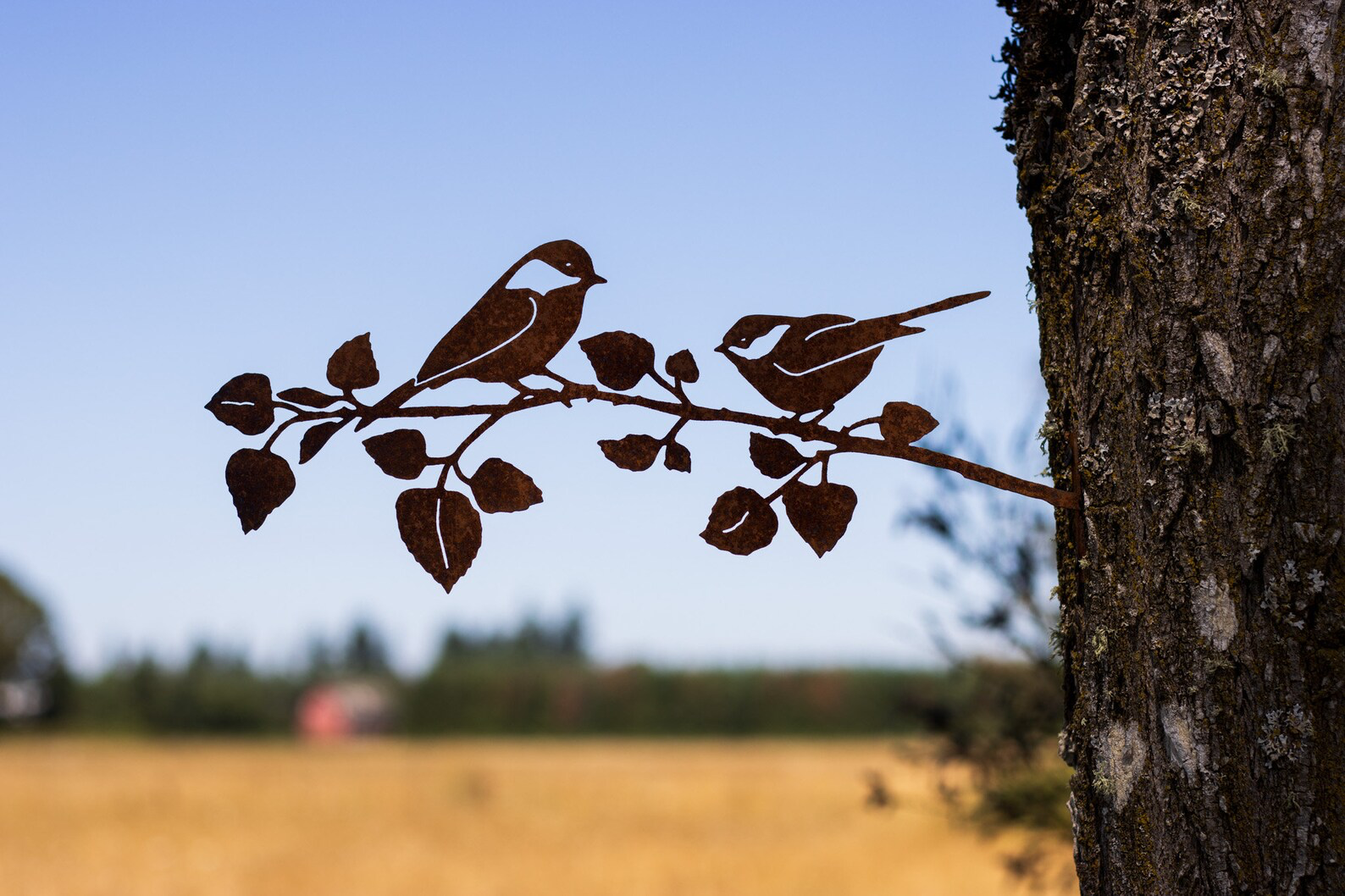 Chickadees on Birch Branch