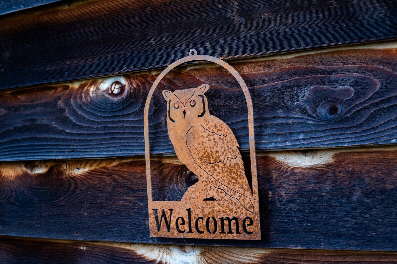 Screech Owl Roundtop Welcome Sign