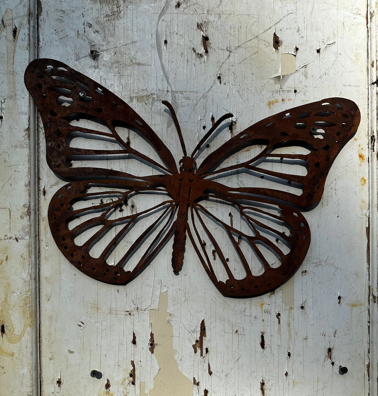 Monarch Butterfly Wall Art