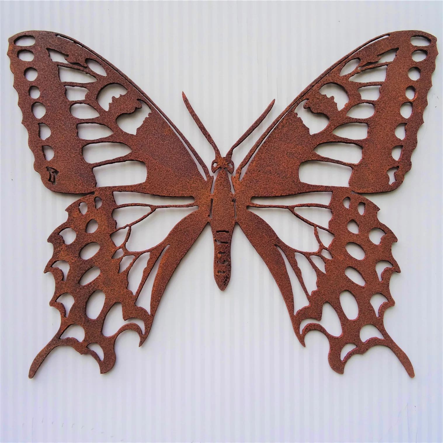 Tiger Swallowtail Butterfly Wall Art