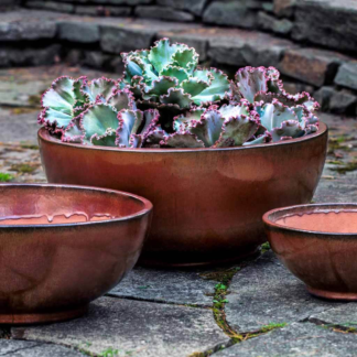 Yuma Bowl - Maple Red