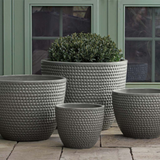 Coin Pot