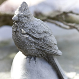 Cardinal