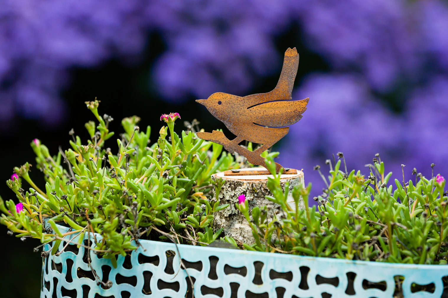 Wren on a Branch - Image 2