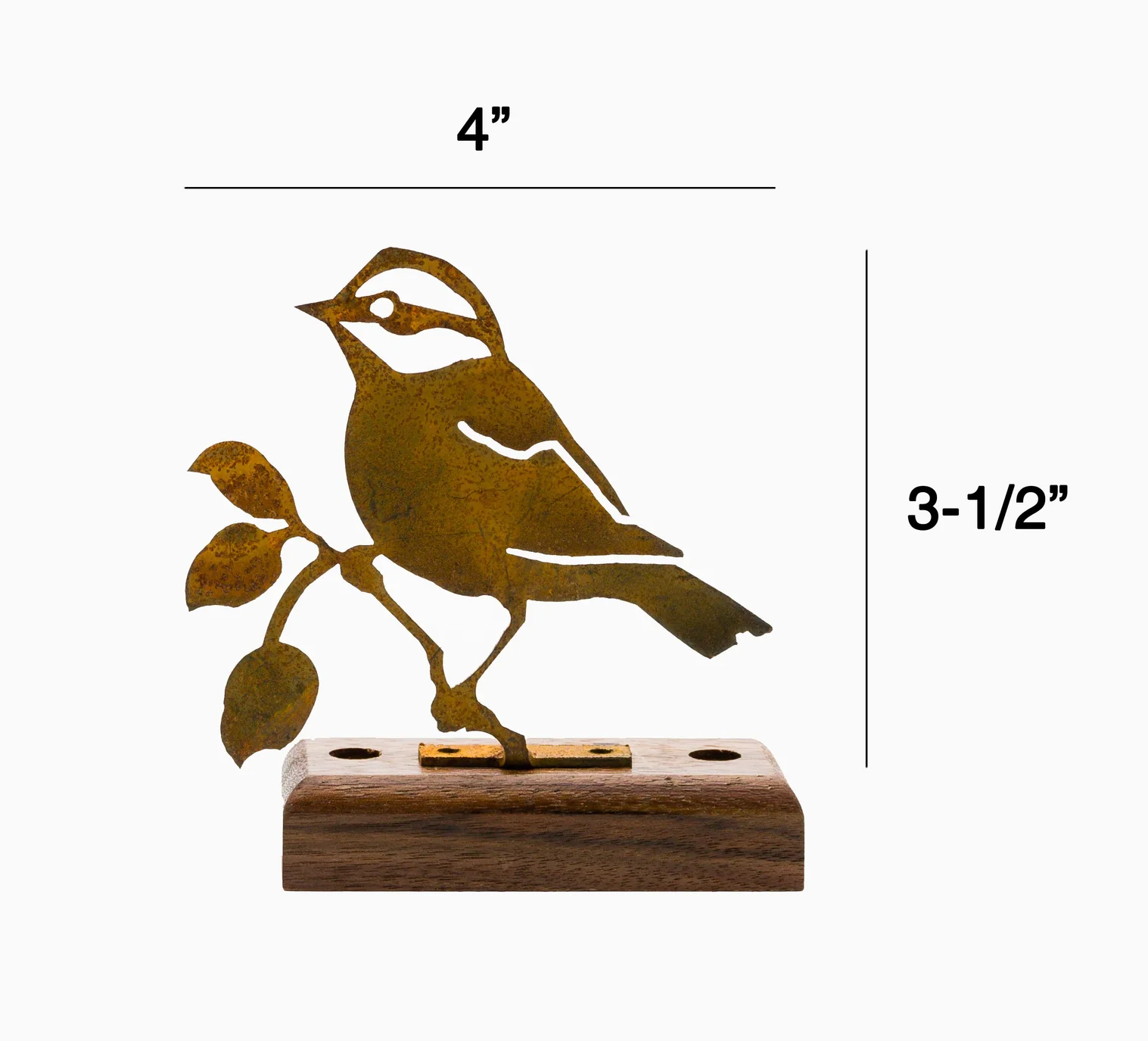 Black-capped Chickadee - Image 3