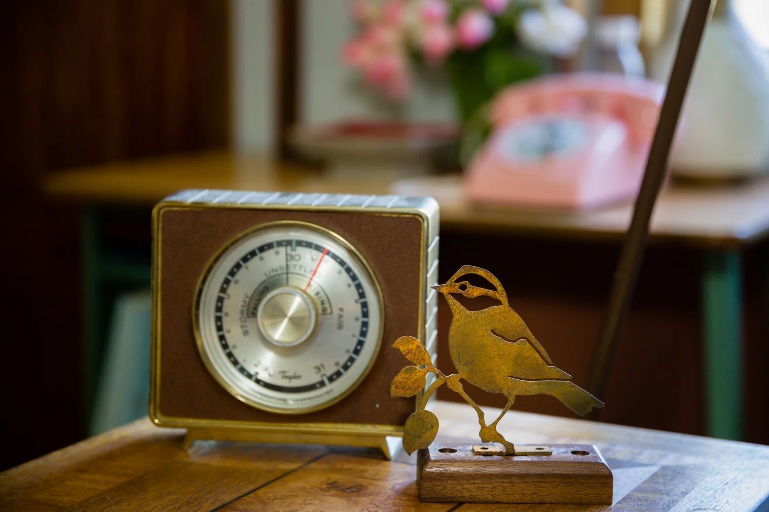 Black-capped Chickadee - Image 2