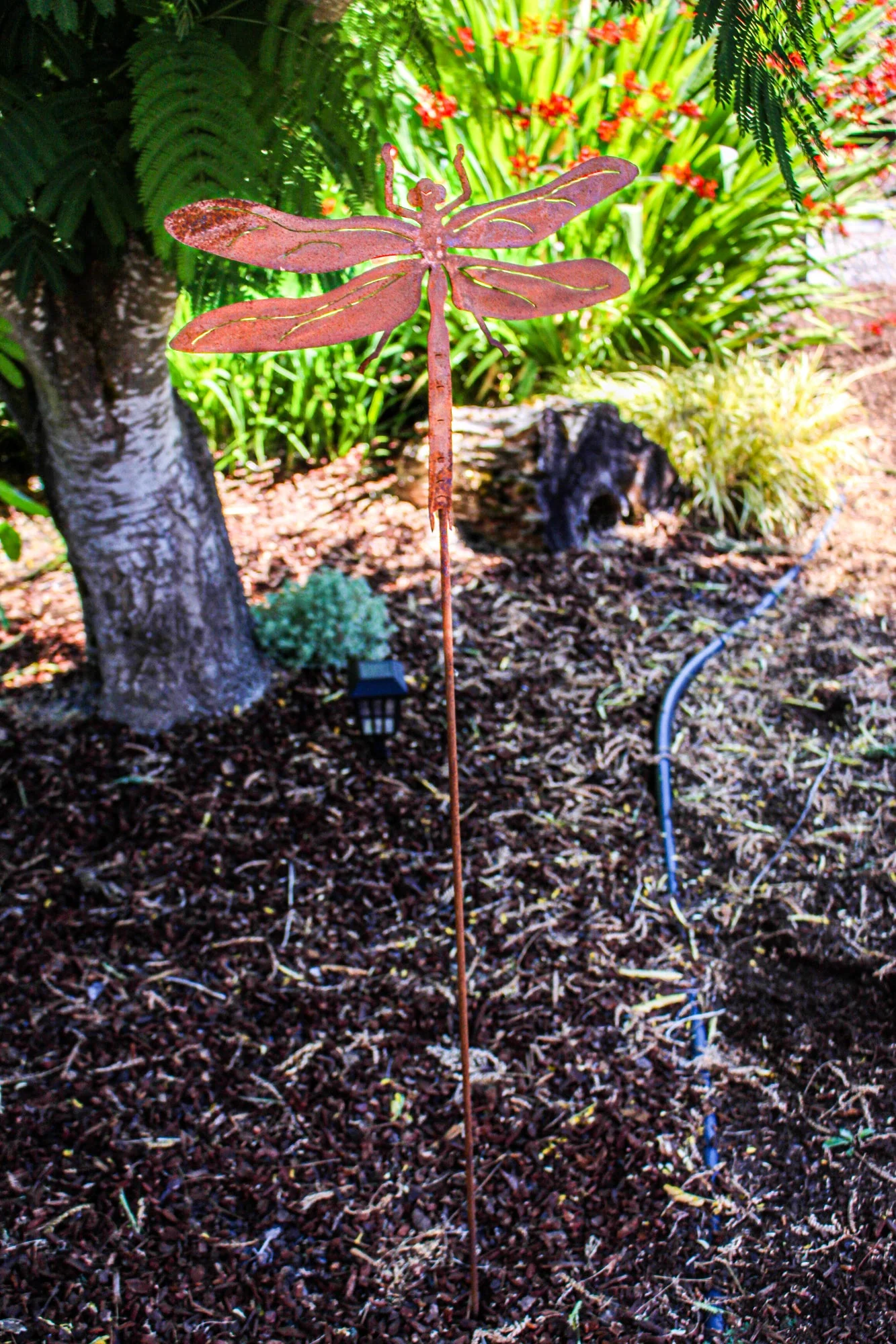 Eastern Amberwing Dragonfly Yard Stake