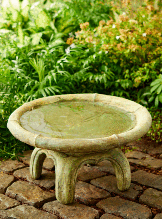 Bamboo Birdbath