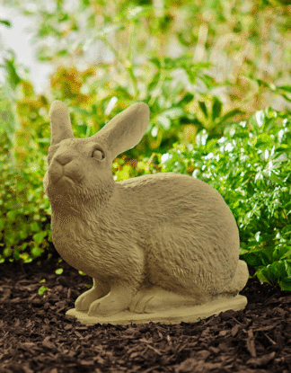 Bleu Bunny