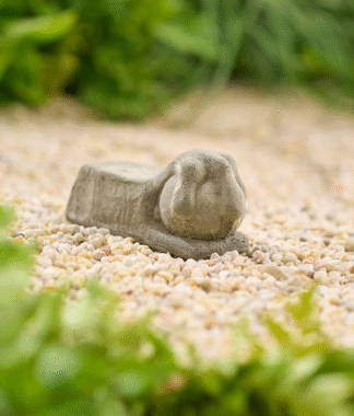 Three-Toe Claw Riser