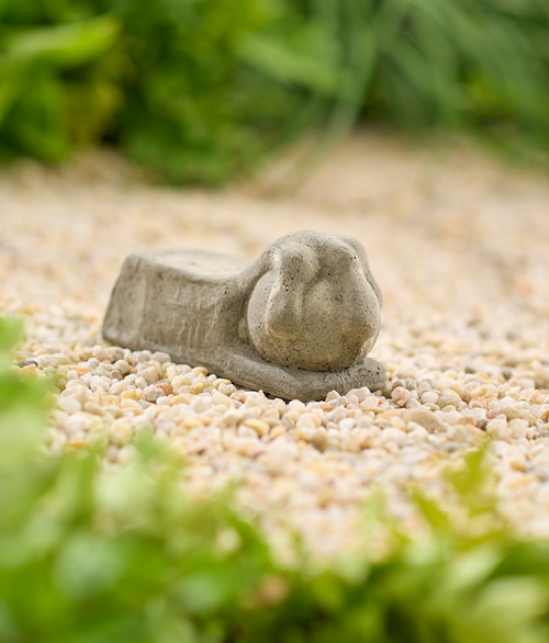 Three-Toe Claw Riser