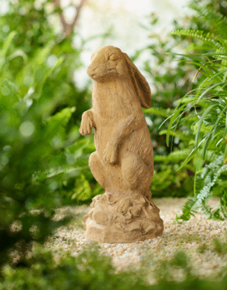Curious Hare
