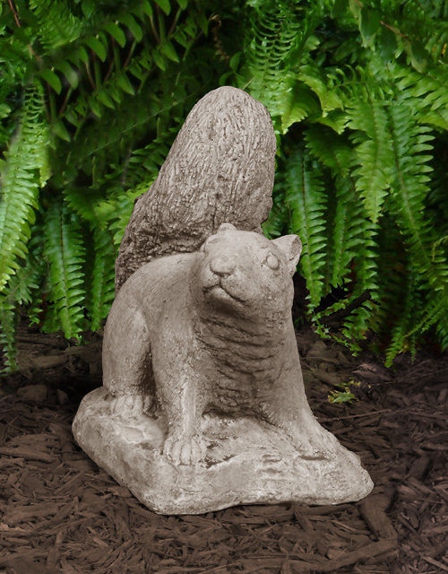 Grey Squirrel - Down