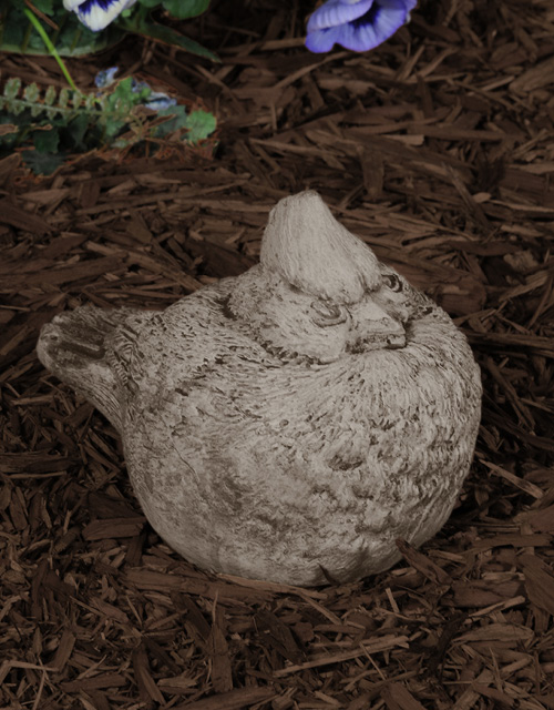 Carolina Cardinal - Down