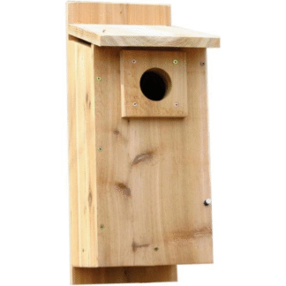 Tree Swallow House