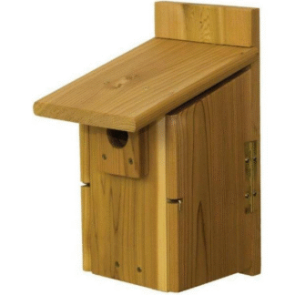 Tree Swallow Ultimate House